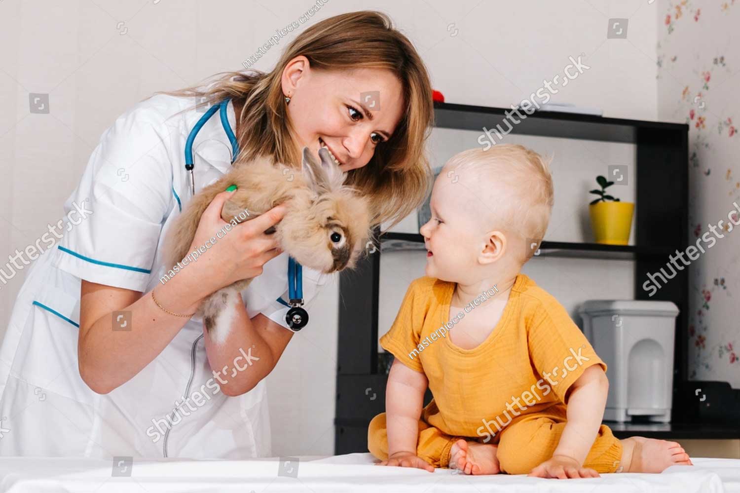 stock photo a little girl brought her pet to the vet for examination the child is at the doctor who offers to 2114528417