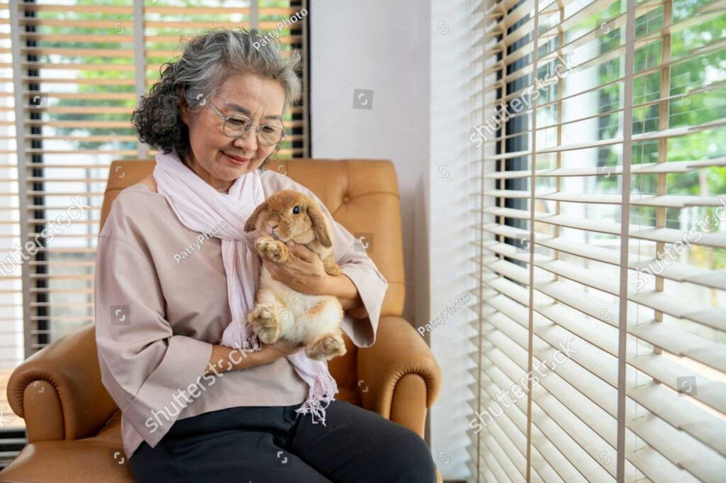 stock photo an elderly person sits peacefully in a cozy home gently holding a rabbit in their arms expressing 2689167475
