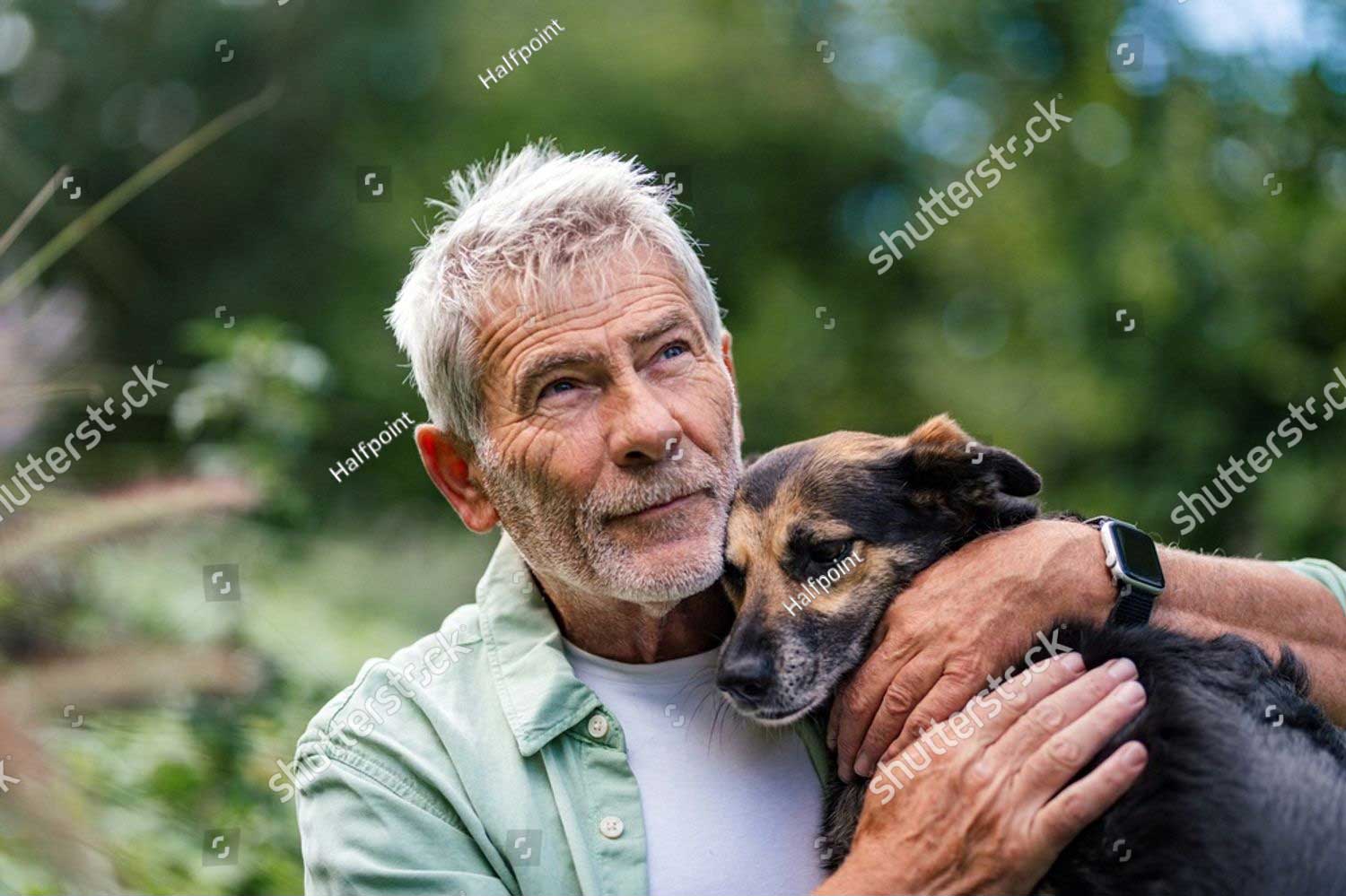 stock photo senior man embracing loyal dog relaxing outdoor moment 2736287021